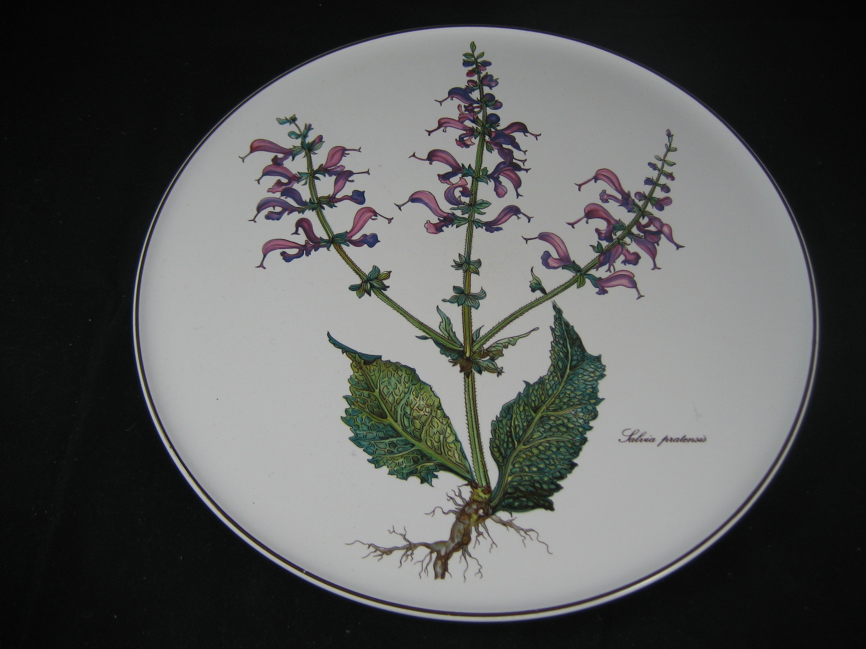 runde Kuchenplatte d: ca. 30 cm Salvia Pratensis Botanica