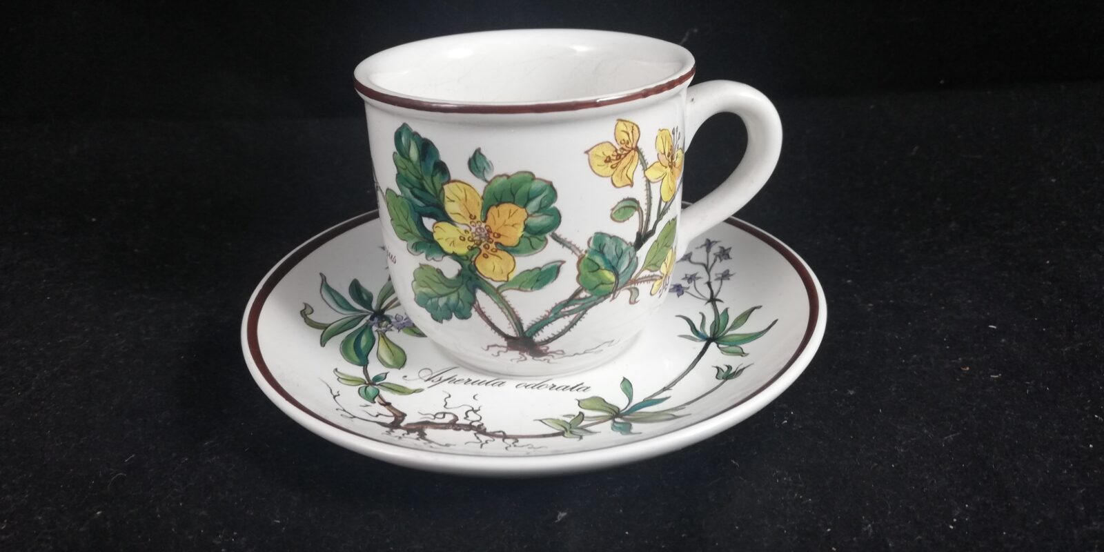 Espressotasse mit Unterteller Villeroy & Boch Botanica